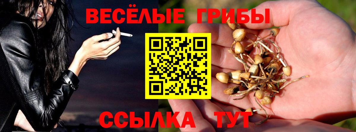Строитель  Галлюциногенные грибы прущие грибы  Вход с VPN 
